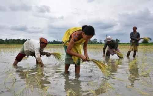 Cabinet clears Rs 24,400 crore fertiliser subsidy to farmers for kharif season