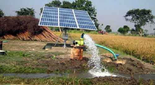 Farmers adopted 67,418 solar pumps last year: Haryana Minister