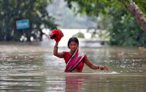 Heatwaves, floods hit incomes of rural women, elderly more: FAO