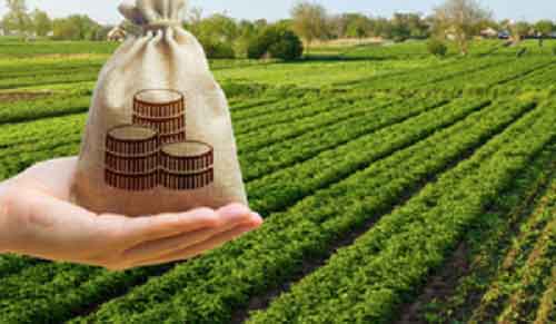 Rajasthan: NABARD announces priority sector credit potential of Rs 3.62 lakh crore for FY 2024-25