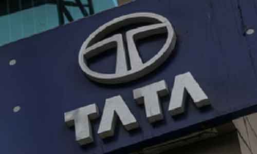 Tata Chemicals shares plunge more than 8 per cent