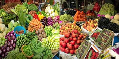 India’s horticulture production pegged at 355.25 million tonnes for 2023-24