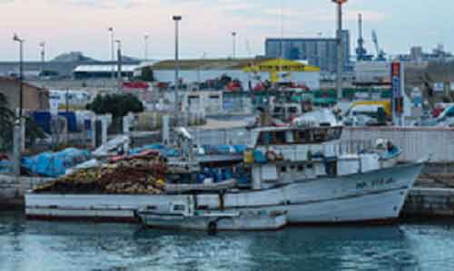 Study sheds light on women’s roles, challenges, opportunities in Mediterranean fisheries