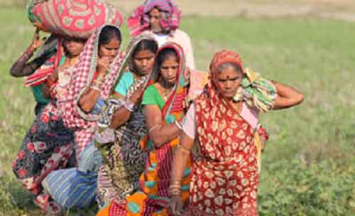 Rs 7,000 crore sanctioned in last 3 months under PM JANMAN scheme for tribal hamlets