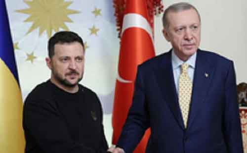 Turkish president meets Zelensky in Istanbul on Russia-Ukraine crisis