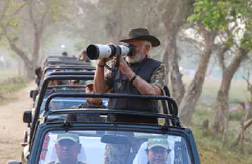 PM Modi takes safari in Kaziranga National Park