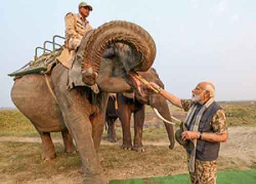 Lakhimai, Pradyumna and Phoolmai: 3 elephants whom PM Modi fed sugarcane during jungle safari