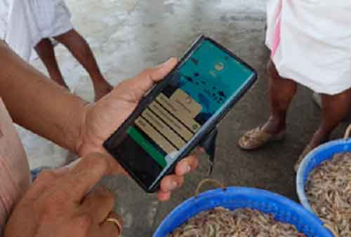CMFRI launches mobile App to encourage citizen science initiative in marine fisheries research