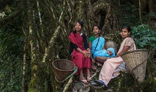 Demand for Inner Line Permit gains momentum in Meghalaya after CAA