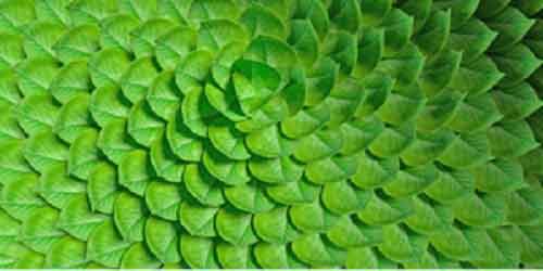 63 pc of Indian enterprises believe Gen AI is important for sustainability efforts: Study