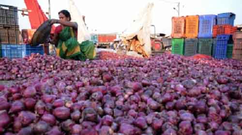 Govt directs NCCF, NAFED to start buying 5 lakh tonnes of onion directly from farmers