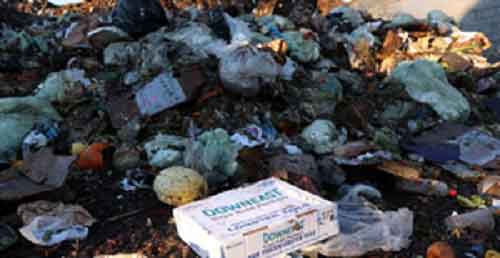 Households across all continents wasted over 1 billion meals a day: UN report