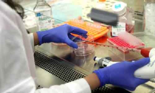 Scientists decode how exercise can reverse ageing