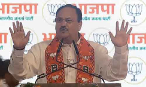 ‘Upcoming polls a battle between weeding out corruption & shielding the corrupt’, JP Nadda says at Maha rally