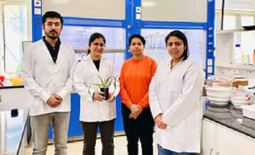 New smart biodegradable microgels to boost sustainable agriculture