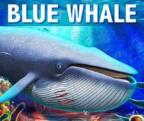Indian student’s death in US possibly linked to Blue Whale suicide game