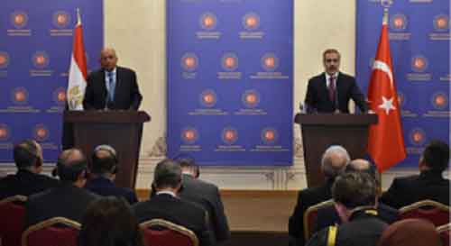 Turkish, Egyptian FMs call for action to end crises in Middle East