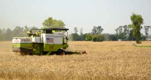Punjab expected to procure 132 lakh metric tons wheat: Chief Secretary