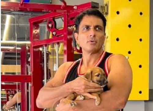Sonu Sood introduces fans to his pawdorable gym buddy ‘Pyare Mohan’