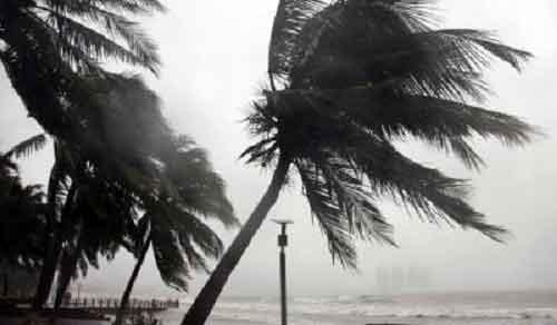 AI models by Google, Nvidia can predict path, intensity of major storms: Study