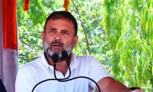 Rahul Gandhi to campaign in Amravati & Solapur on Wednesday