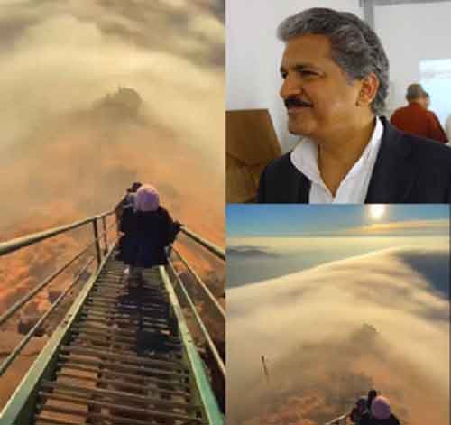 We need time in life to stop & smell the roses: Anand Mahindra