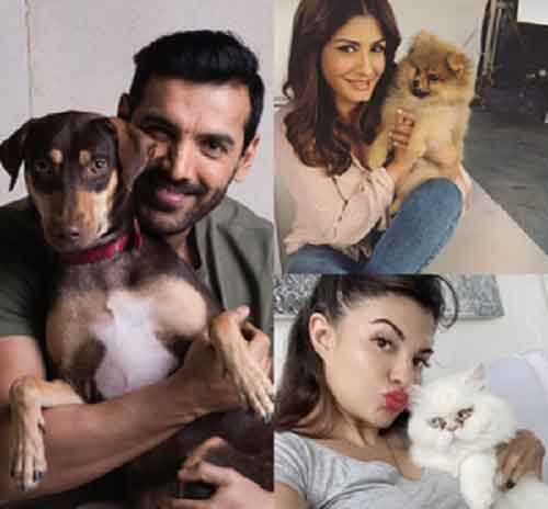 Pet parents Raveena, John Abraham, Priyamani, others share wisdom on a ‘pawrfect’ summer
