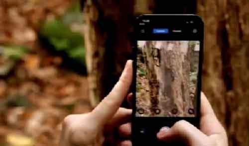 CERT-In warns users of multiple bugs in Android, Mozilla Firefox