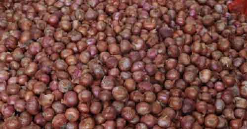 Govt allows additional 10,000 tonnes of onion exports to UAE