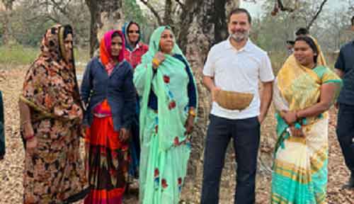 Rahul Gandhi makes surprise visit to women collecting ‘mahua’ flowers in MP’s Shahdol