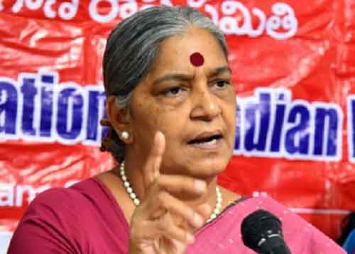 Rahul Gandhi should have informed people of Wayanad: Annie Raja