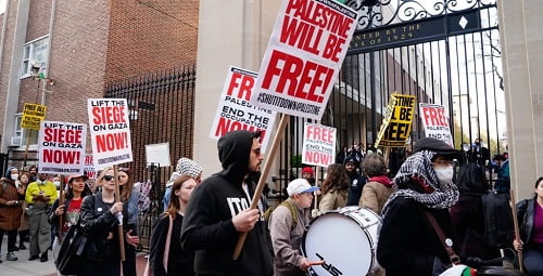 Democratic Jitters: Palestinian protests cast shadow over Chicago Convention