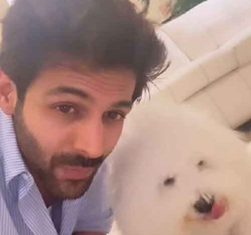 Kartik Aaryan’s pawdorable video with pet Katori as he prepares to go for Sunday shoot