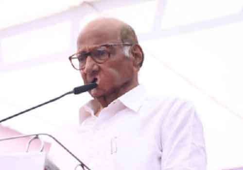 After Maha polls, Sharad Pawar to campaign in other states from May 20
