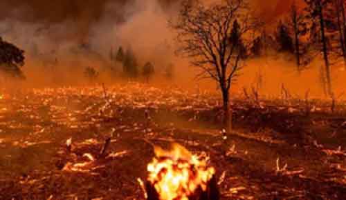 Wildfire prompts emergency alert for two communities in Canada