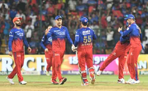 IPL 2024: Patidar, Jacks, Dayal star as RCB beat DC by 47 runs, register fifth win in a row