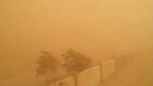 Sandstorms and rain sweep through Gujarat, impacting power; farming