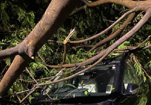 Rain, thundershowers forecast for Gujarat till May 16