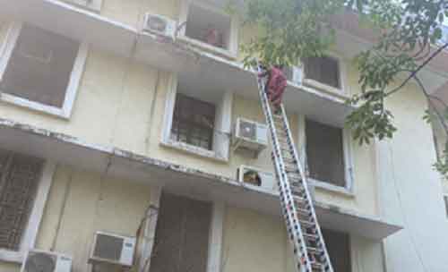 Seven rescued from after fire breaks out at Income Tax office in Delhi