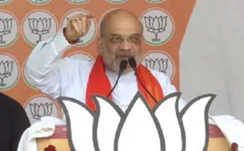 Vote for lotus if you want strong PM, says HM Amit Shah
