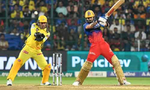 IPL 2024: Virat Kohli could go well past his IPL 2016 performance, says Matthew Hayden