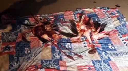 Flock of Flamingos hit Emirates flight at Mumbai Airport, aircraft grounded