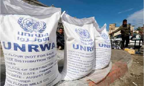 Food distribution in Rafah suspended due to security situation