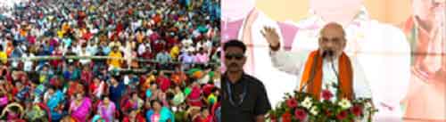 NDA has already crossed 310 seats after five phases of LS polls: HM Amit Shah