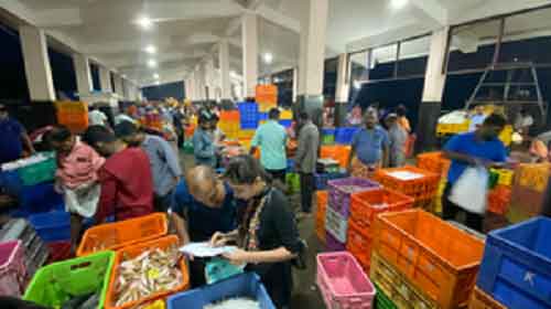 CMFRI rapid survey records 468 species in Kerala’s marine ecosystem