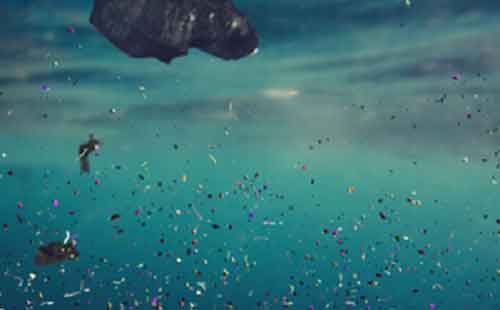 Reducing plastic pollution by 5pc yearly may stabilise ocean microplastics: Study