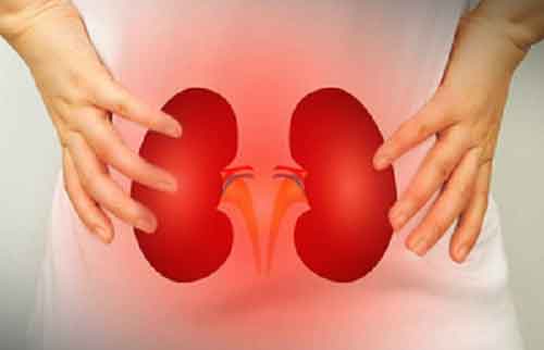Researchers detect novel biomarkers for kidney diseases using new technique