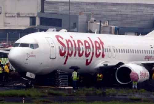 SpiceJet flight to Leh returns to Delhi after engine hit by bird