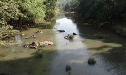 PRAWAH yet to decide on joint inspection of Mhadei, says Goa minister