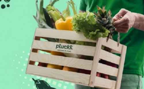 Pluckk clocks Rs 100 cr ARR, aims to double revenue in 12 months